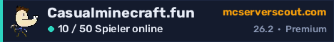 Banner des Servers Casualminecraft.fun