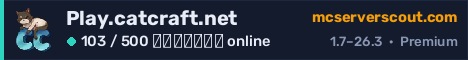 Banner του server Play.catcraft.net