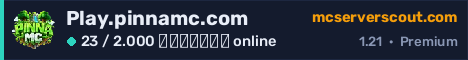 Banner του server Play.pinnamc.com