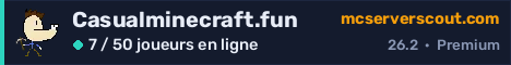Bannière du serveur Casualminecraft.fun