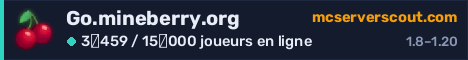 Bannière du serveur Go.mineberry.org