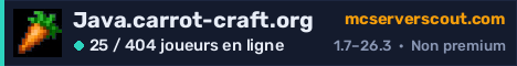 Bannière du serveur Java.carrot-craft.org