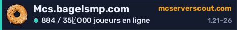 Bannière du serveur Mcs.bagelsmp.com