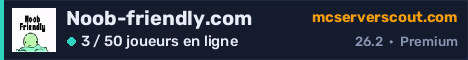 Bannière du serveur Noob-friendly.com