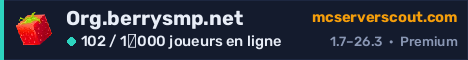 Bannière du serveur Org.berrysmp.net