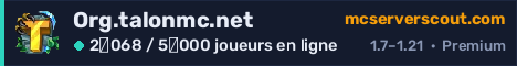 Bannière du serveur Org.talonmc.net