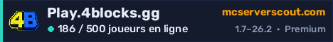 Bannière du serveur Play.4blocks.gg