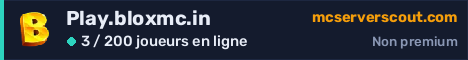 Bannière du serveur Play.bloxmc.in