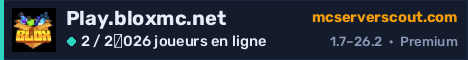 Bannière du serveur Play.bloxmc.net