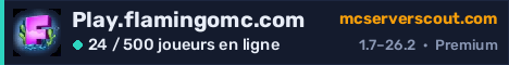 Bannière du serveur Play.flamingomc.com