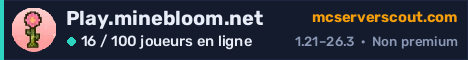 Bannière du serveur Play.minebloom.net