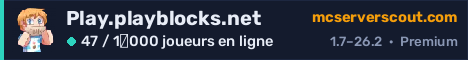 Bannière du serveur Play.playblocks.net
