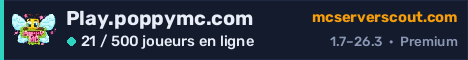Bannière du serveur Play.poppymc.com