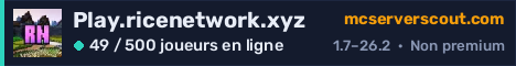 Bannière du serveur Play.ricenetwork.xyz