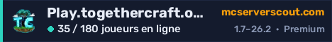 Bannière du serveur Play.togethercraft.online