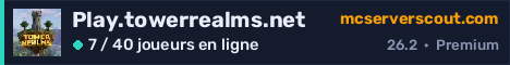 Bannière du serveur Play.towerrealms.net