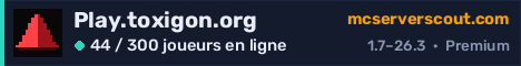Bannière du serveur Play.toxigon.org