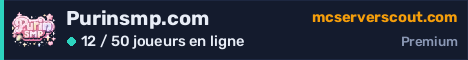 Bannière du serveur Purinsmp.com