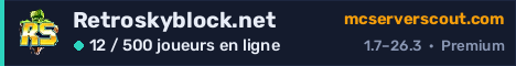 Bannière du serveur Retroskyblock.net