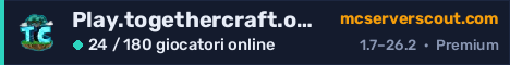 Banner del server Play.togethercraft.online
