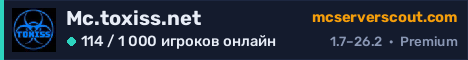 Баннер сервера Mc.toxiss.net
