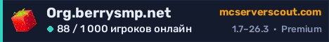 Баннер сервера Org.berrysmp.net