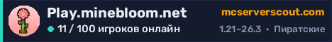 Баннер сервера Play.minebloom.net
