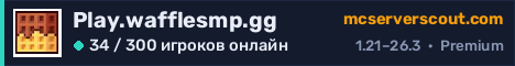 Баннер сервера Play.wafflesmp.gg