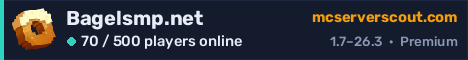 Bagelsmp.net server banner