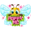 Play.poppymc.com server icon