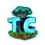 Icon des Servers Play.togethercraft.online