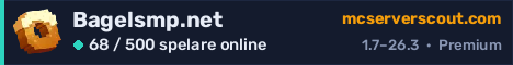 Serverbanner för Bagelsmp.net